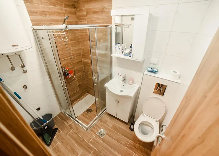 Ivkovic 즐라티보